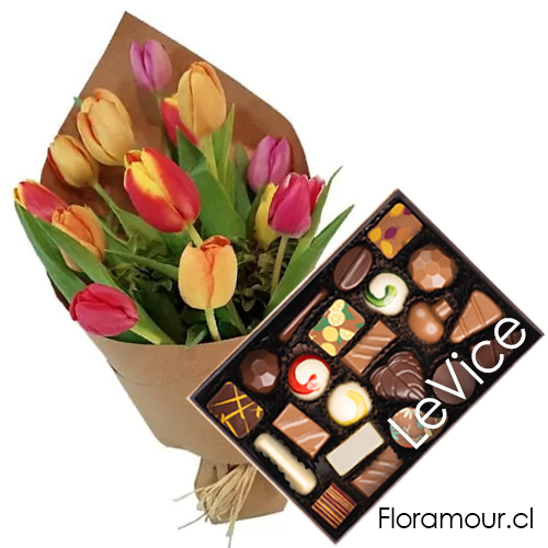 Ramo de 12 tulipanes cultivados mixtos y bombones Le Vice